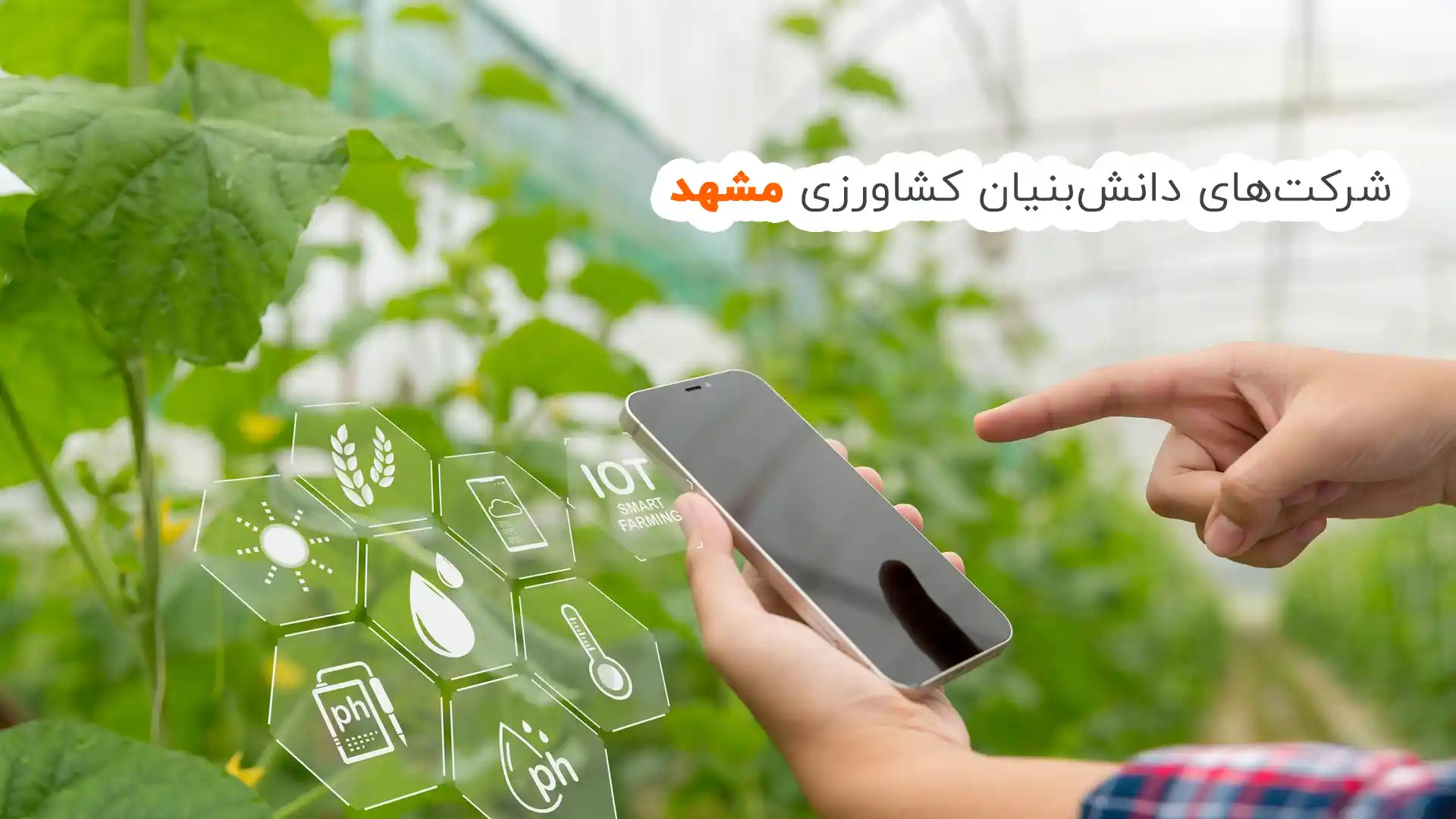 معرفی شرکت‌های دانش بنیان کشاورزی در مشهد