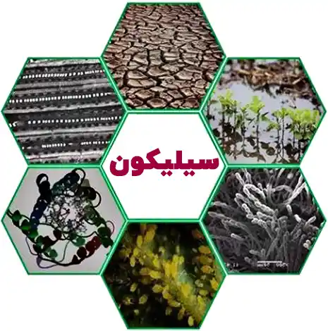 اهمیت سیلیکات پتاسیم