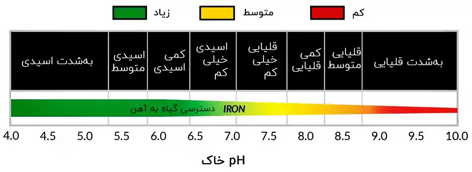 جذب آهن توسط گیاهان