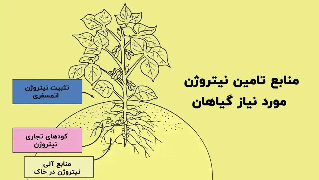 منابع تامین نیتروژن مورد نیاز گیاهان