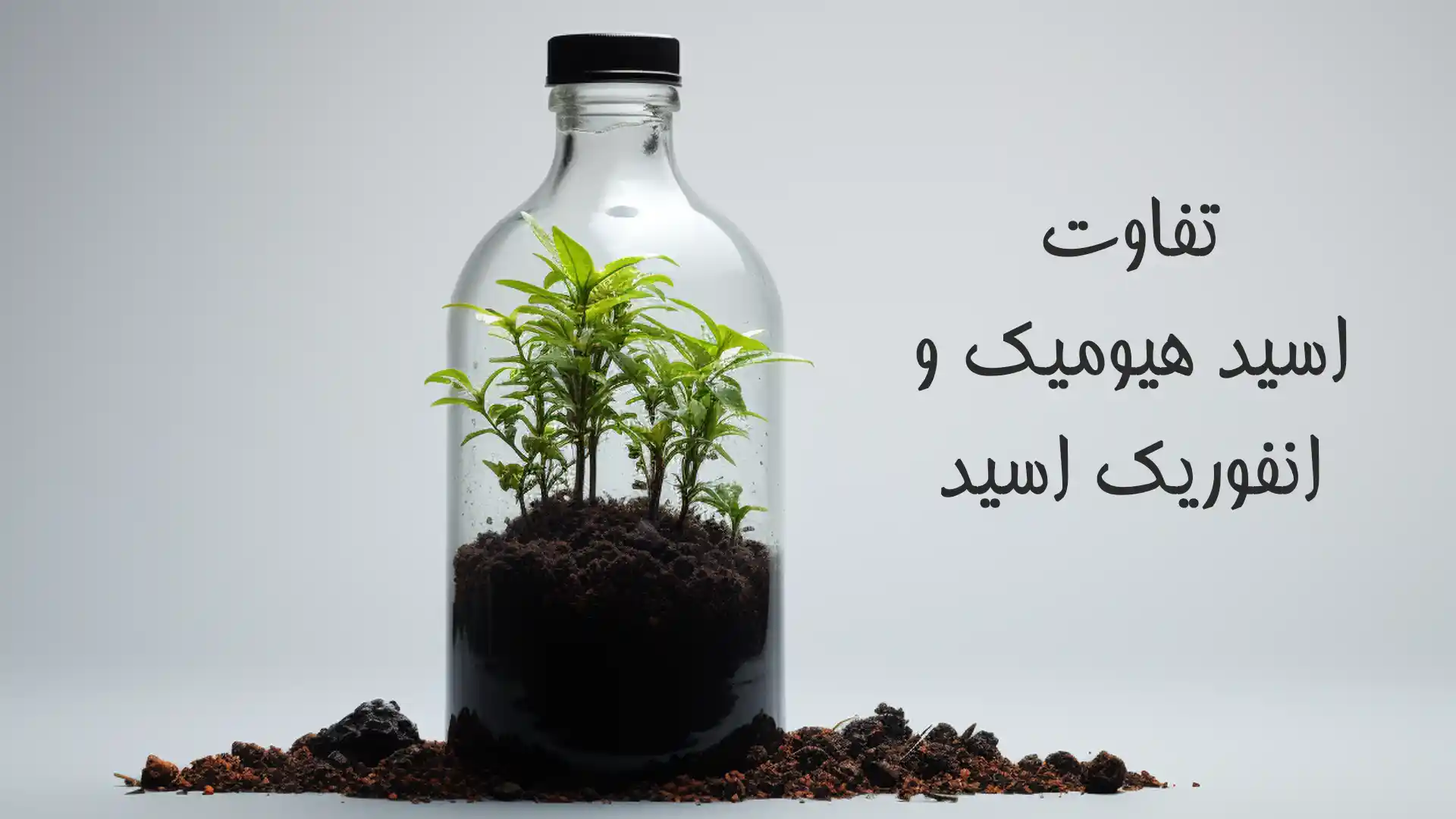 تفاوت اسید هیومیک و اسید انفوریک