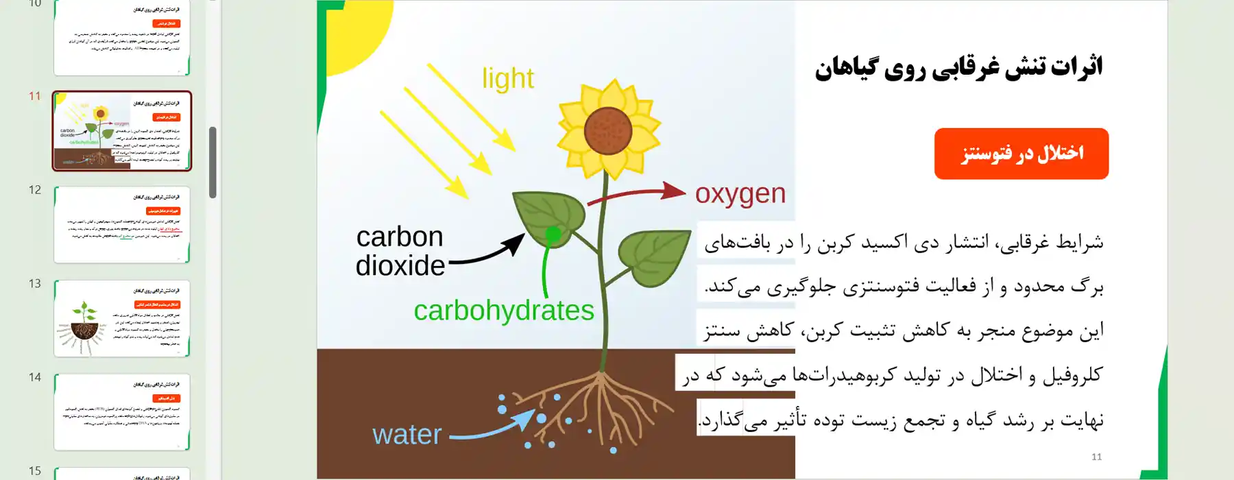 پاورپوینت تنش غرقابی در گیاهان