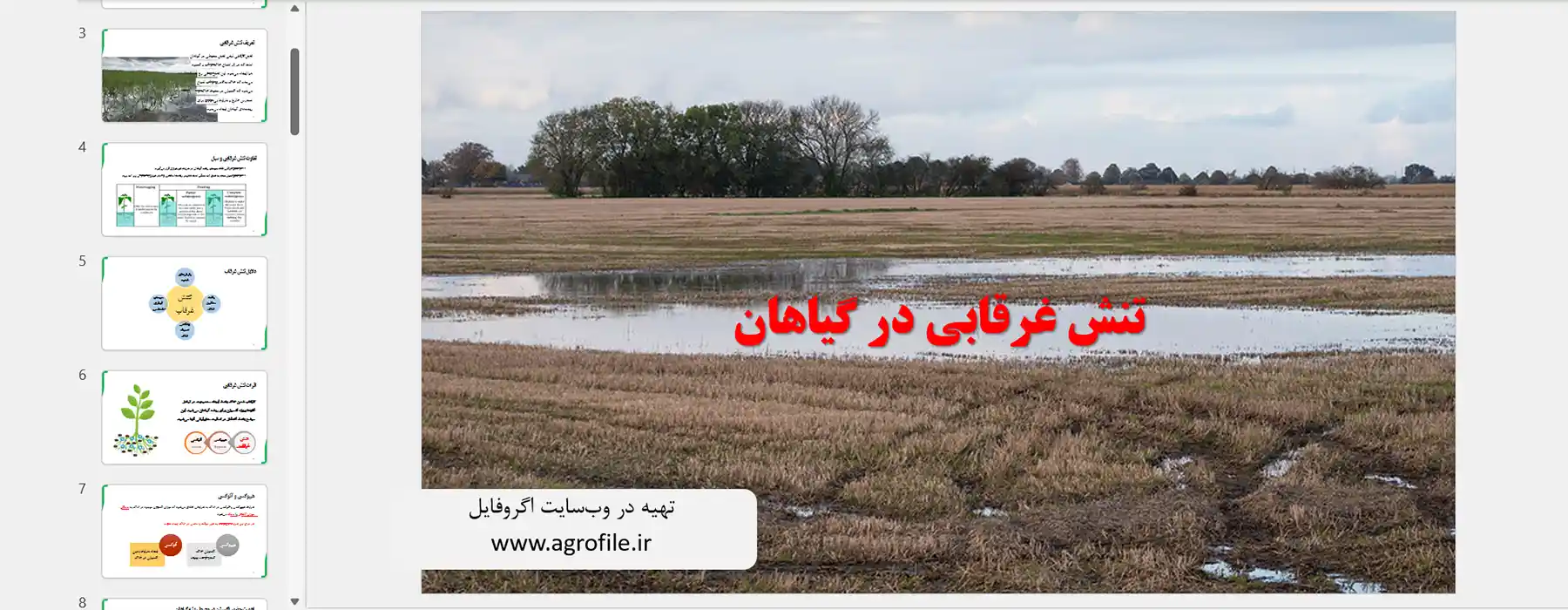 دانلود پاورپوینت تنش غرقابی در گیاهان