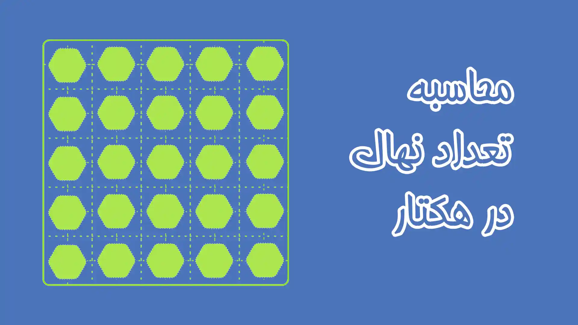 نحوه محاسبه تعداد نهال در هکتار