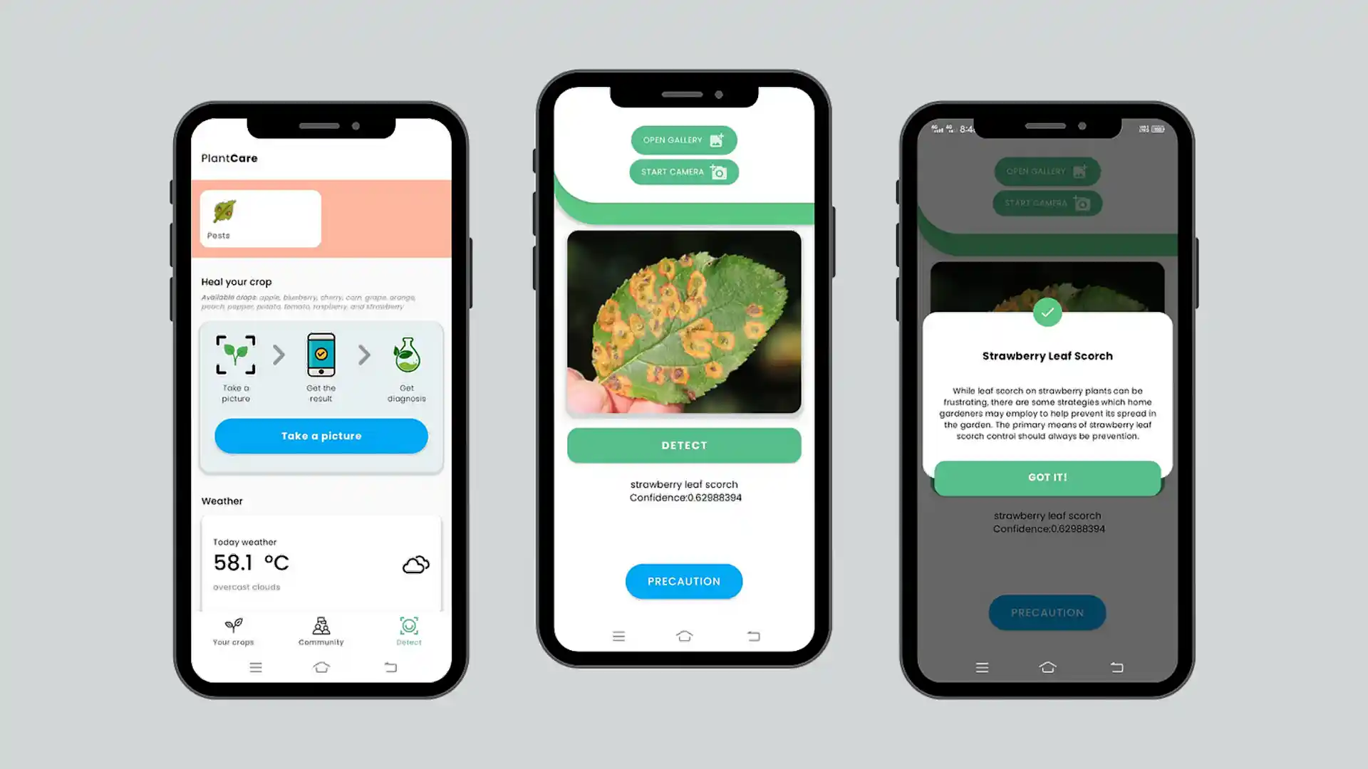 نرم افزار تشخیص بیماری گیاهان