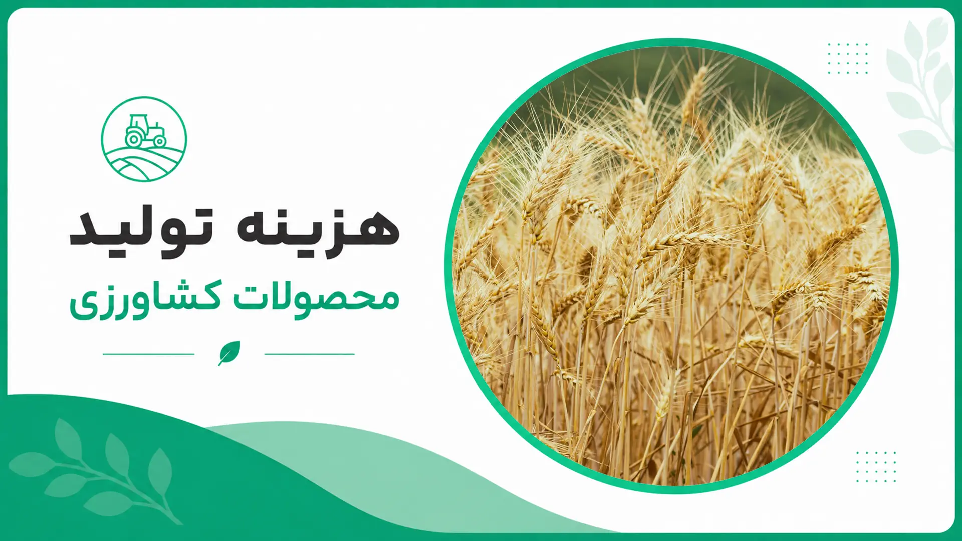 هزینه تولید گندم در ایران