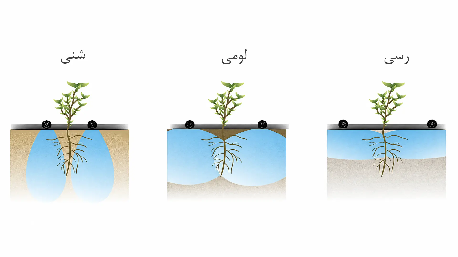 تکنیک آبیاری پالس در خاک های سبک